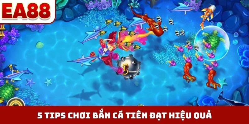 5 tips chơi bắn cá Tiên đạt hiệu quả