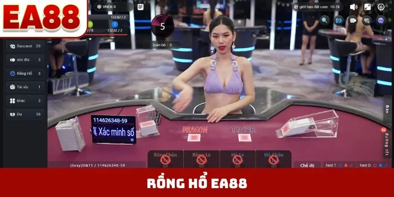 Rồng hổ